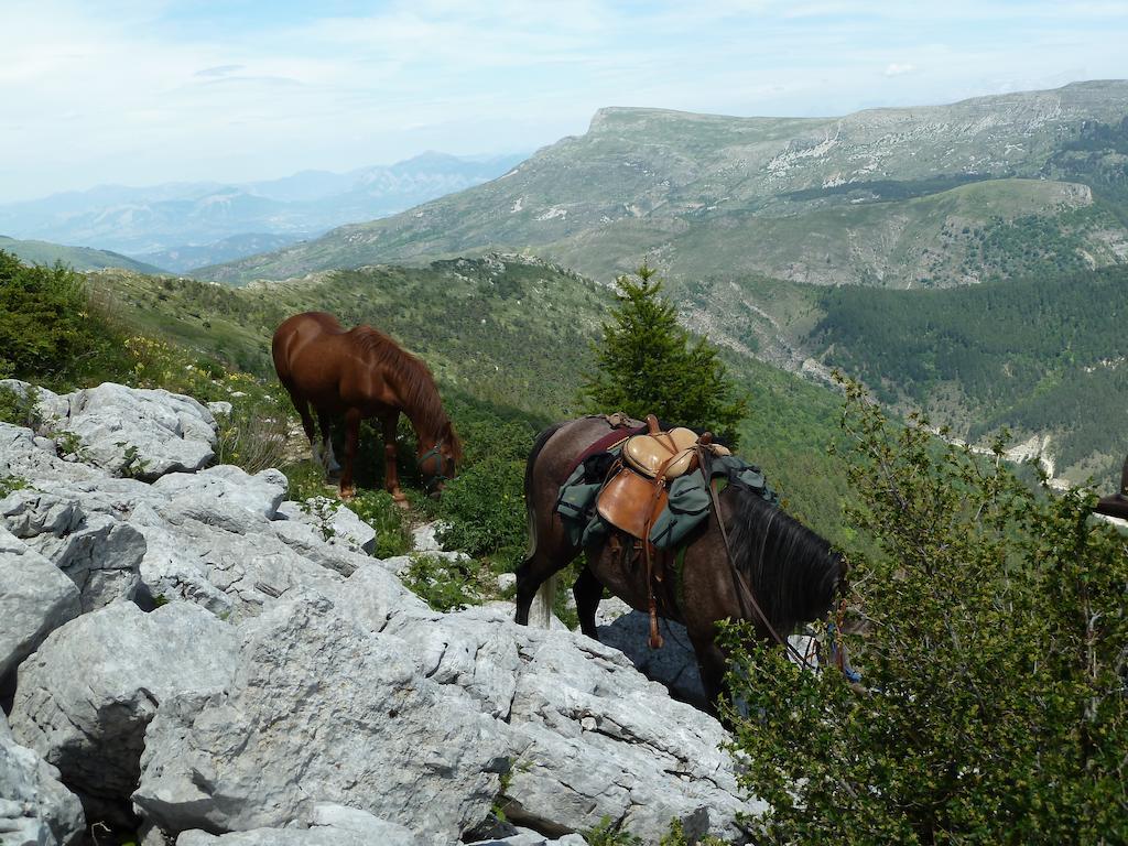 Gite Des Monges Сістерон Екстер'єр фото
